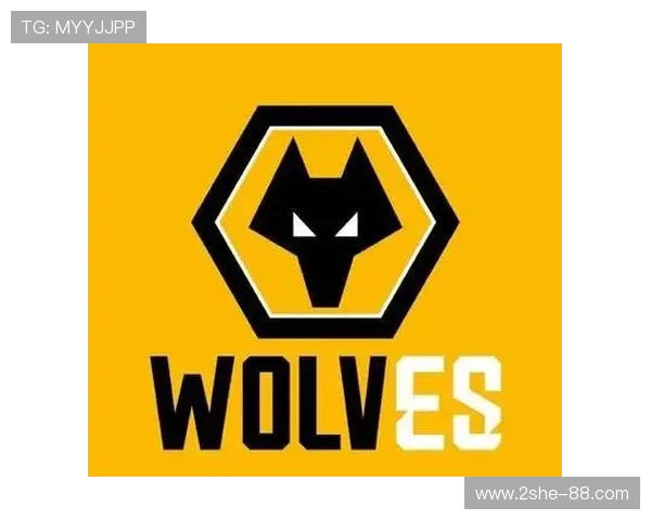 狼队官宣泰蒂出任职业足球总监 前罗马高管加盟强化战略体系(2)